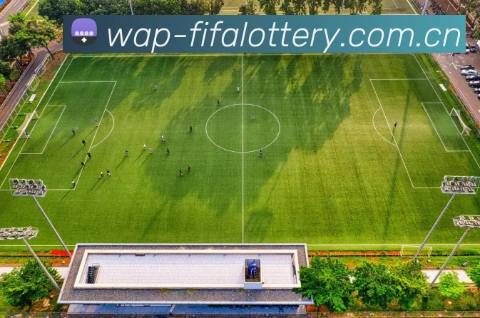 FIFA官方数据授权认证